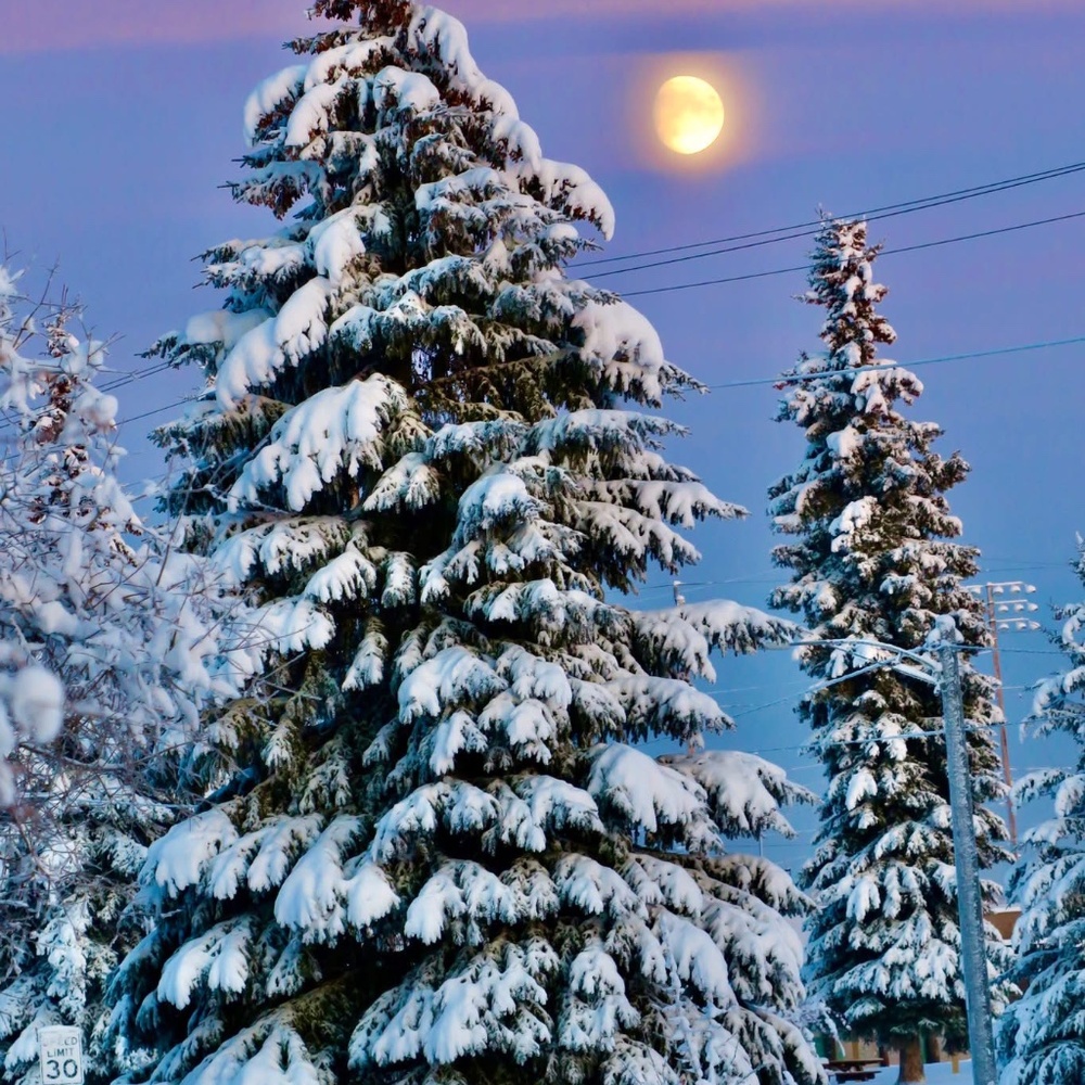 Meet your Posher, Nicole b